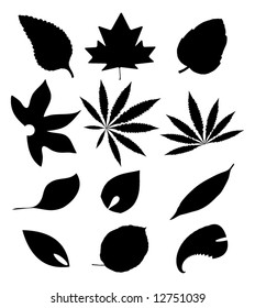 Vector Leaves Silhouette Set
