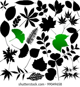 Vector Leaves silhouette set