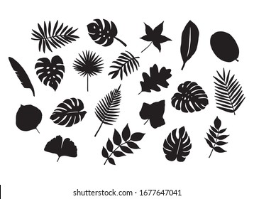 Vector leaves silhouette set isolated on white background. Jungle monstera leaf. Illustration for your design. digital printing