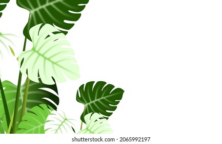 Vector of the leaves are spotted on a white background for having white spaces for inserting text. Green nature background