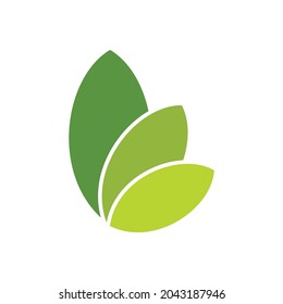 vector leaves with three different sizes and different colors