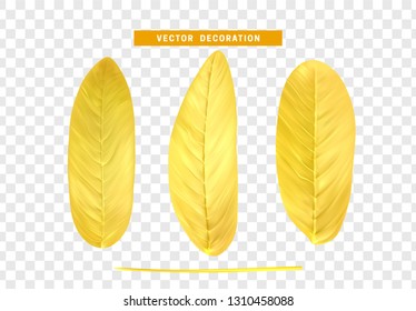 Vector leaves from the tree realistic. Yellow color
