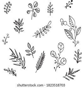 Vector leaves, twigs and various natural elements