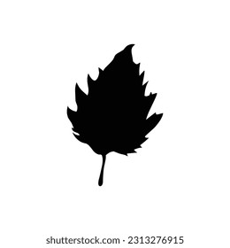 vector leaves in white background
