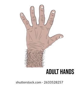 Vector left hand of older adult.