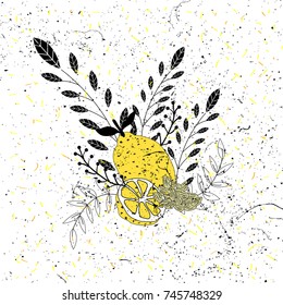 Vector lemon and cardamom of spices. 