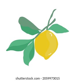 vector lemon, citrus lemon in flat and cartoon style doodle style on white background, lemon with leaves simple illustration