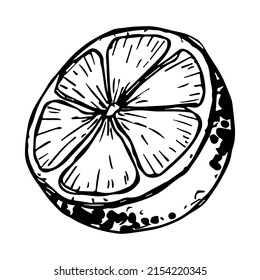 Vector lemon clipart. Hand drawn citrus icon. Fruit illustration. For print, web, design, decor, logo.