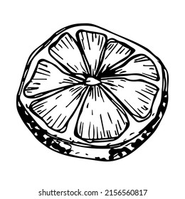 Vector lemon clipart. Hand drawn citrus icon. Fruit illustration. For print, web, design, decor, logo.