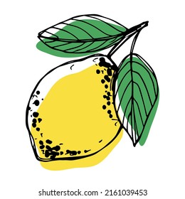Clíparte de limón vectorial. Icono de cítricos dibujado a mano. Ilustración de fruta. Para imprimir, web, diseño, decoración, logotipo.