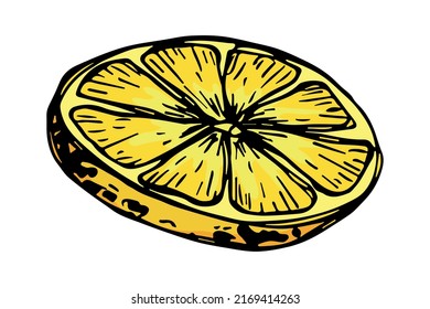 Vector lemon clipart. Hand drawn citrus icon. Fruit illustration. For print, web, design, decor, logo.