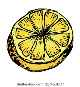 Vector lemon clipart. Hand drawn citrus icon. Fruit illustration. For print, web, design, decor, logo.