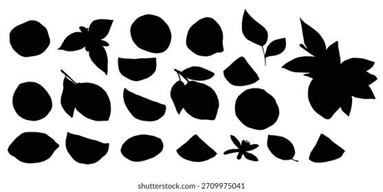 Vektor Zitrone Clipart handgezeichnete Zitrusfrucht