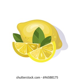 Vector Lemon Colorful Illustration Isolated on White Background.