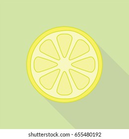 Vector lemon. Fresh fruit, slice illustration