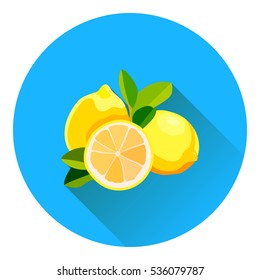 Vector lemon. Fresh lemon fruits, collection of vector illustrations. Flat style with long shadow.