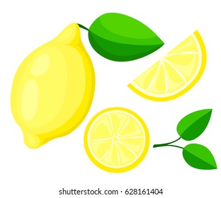 Vector lemon. Fresh lemon fruits, collection of vector illustrations isolated set packaging juice design sour citrus