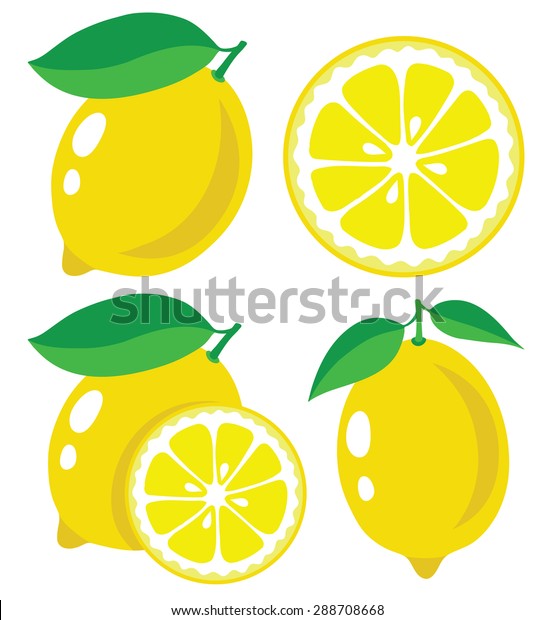 ベクターレモン 新鮮なレモンフルーツ ベクターイラストのコレクション のベクター画像素材 ロイヤリティフリー