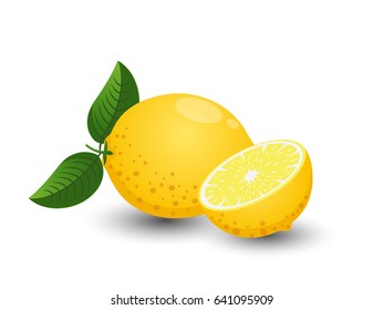Vector Lemon fruits isolated on white background