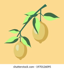 Vector - lemon fruits pattern, watercolor illustration, template.