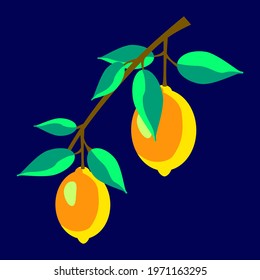 Vector - lemon fruits pattern, watercolor illustration, template.