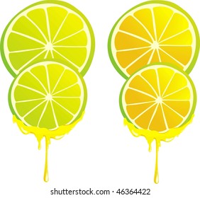 Vector lemon and honey