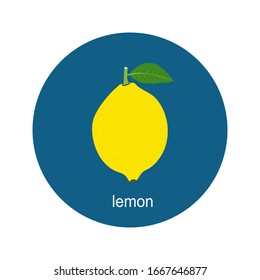 Vector lemon icon isolated on white background.  Flat blue circle icon with fruit. Healthy food. 