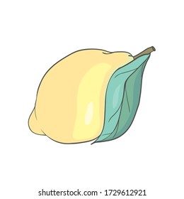 Vector lemon. Illustration art logo, icon, label