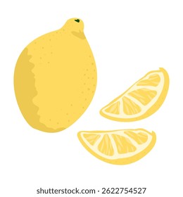 Vector lemon illustration isolated on white background
