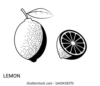 Vector Lemon. Lemon isolated black and white pattern.