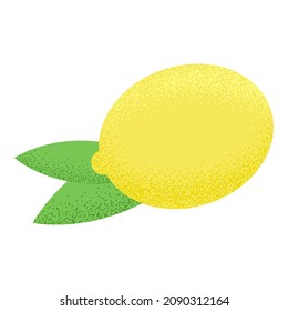 Vector lemon isolated on white background. Citrus with leaves