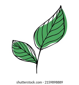 Vector lemon leaves clipart. Hand drawn plant illustration. For print, web, design, decor, logo.