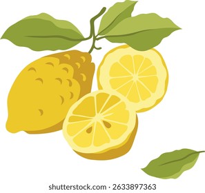 Vector lemon with leaves and lemon tree branch, half lemon and round slice composition. Ready to use for product design, web, cards, menu, textile. You could also move all the elements as you like