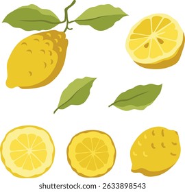 Vector lemon with leaves and lemon tree branch, half lemon and round slice. Ready to use for product design, web, cards, menu, textile. You could also move all the elements as you like (isolated)