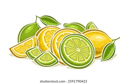 Vector Lemon and Lime still life, horizontal decorative poster with cartoon design ripe lime composition, outline illustration of group chopped parts and whole lemons and limes on white background