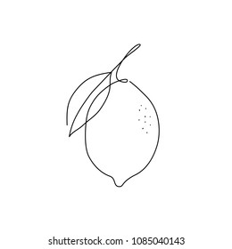 Vector lemon. Line art logo, icon, label