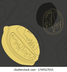 Vector lemon on dark grey background. Line art illustration