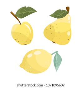 Vector lemon, pear, apple. Cartoon fruits set. Vegan, diet food, detox.