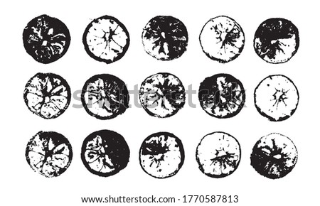 Vector lemon print.  Set with stamp lemon. Hand drawn floral elements. 