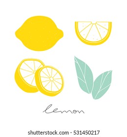 Vector lemon set.  Hand drawn sliced lemon. Kitchen illustration on the white background