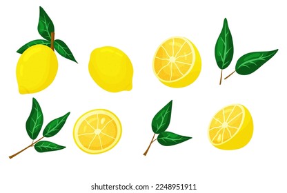 Conjunto de limón vectorial aislado sobre fondo blanco. Caricatura de frutas estivales cortadas, limones semicortados, limón entero amarillo y ilustración de la colección de hojas.