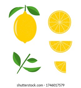 Vector lemon set on a white background. Whole, half and quarter lemon with green leaves. Constructor to build your design.