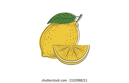 Vector lemon sketch isolated on white background. Lemon vintage doodle icon. 