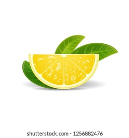 vector lemon slice