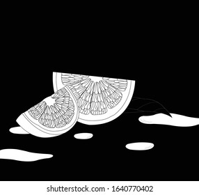 Vector lemon slice illustration isolated from background