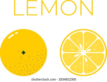 Vector of lemon and sliced half of lemon on white background