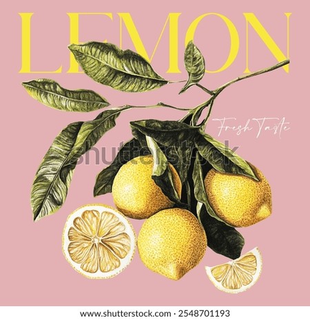 vector lemon slogan, vintage lemon fresh summer prints, grunge effect use this print, food fashion for lemon, fruit club grunge vintage t shirt prints