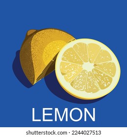 vector lemon with some details, it can be used as a separated element or as background or you can use for teaching languages to children as a beautiful word with illustration of its meaning.