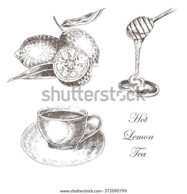 Vector Lemon Tea Honey Sketch Drawing Stock Vector (Royalty Free ...