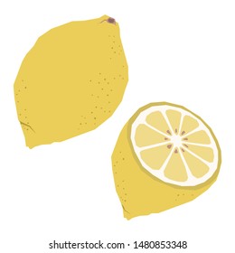 Vector lemon whole and cut colorful isolated illustrations